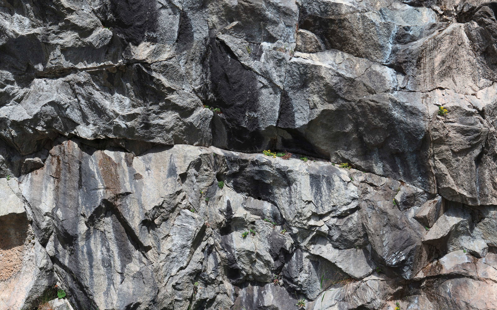 Architects Paper impression numérique AP Digital 2