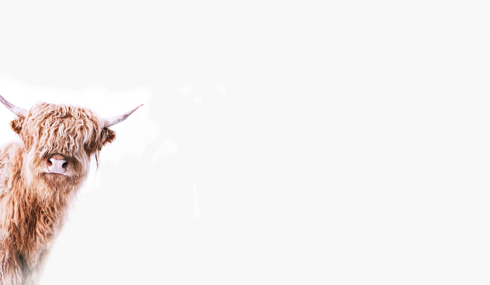 livingwalls Фотообои ARTist