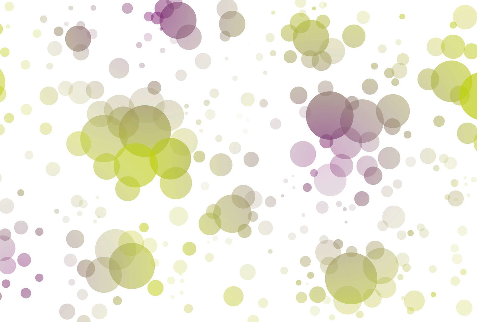 Architects Paper Fotobehang AP Digital 2