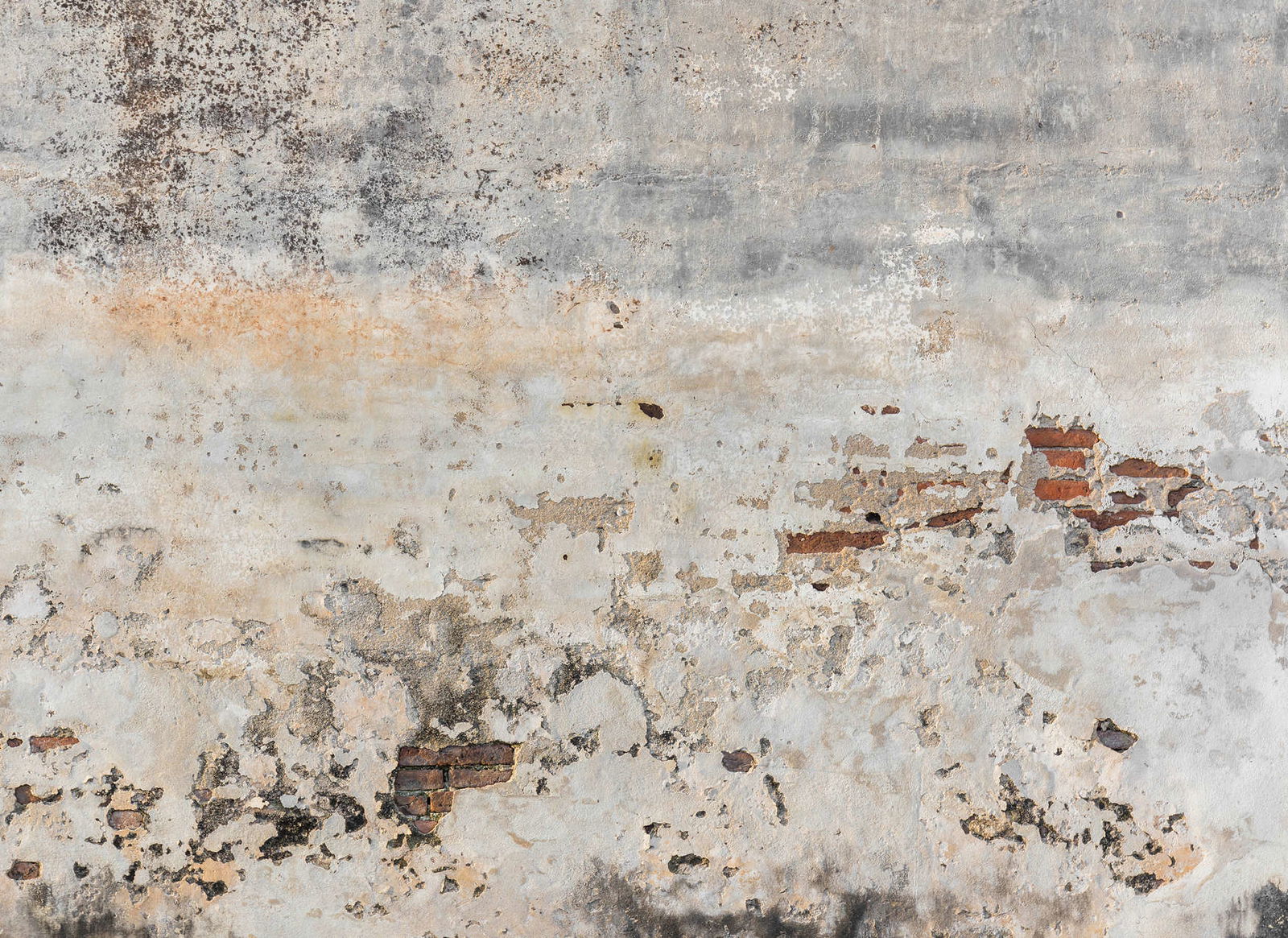 livingwalls Photo wallpaper Designwalls livingwalls Photo wallpaper Designwalls