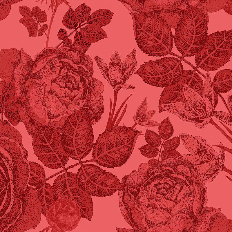 walls by patel Photo wallpaper Walls by Patel