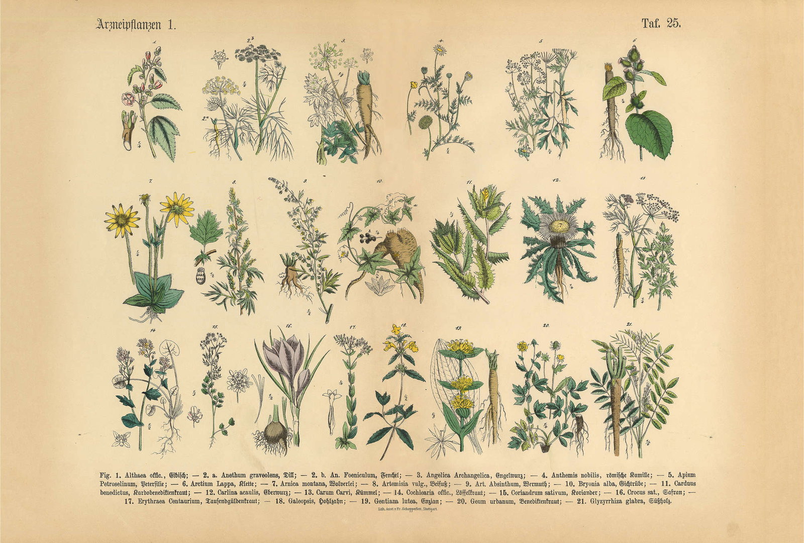 Architects Paper Fototapete AP Digital 4