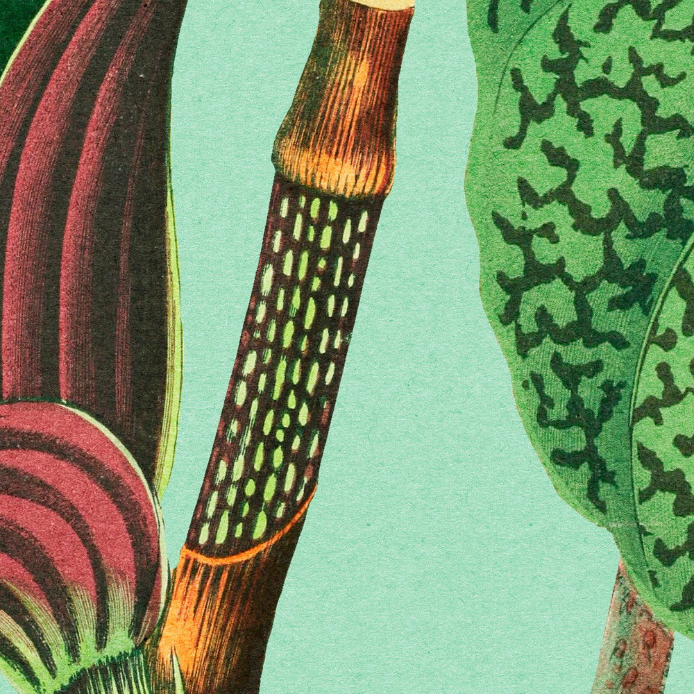 walls by patel Fototapete Walls by Patel 3