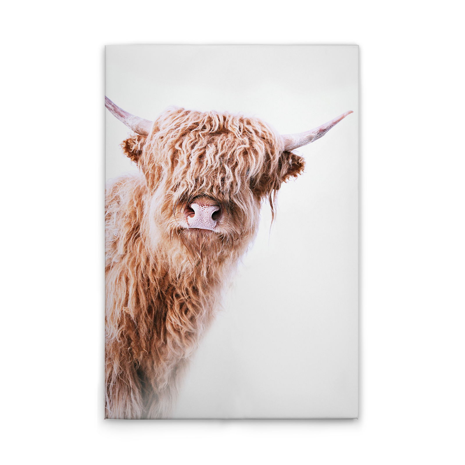 livingwalls tableau sur toile ARTist