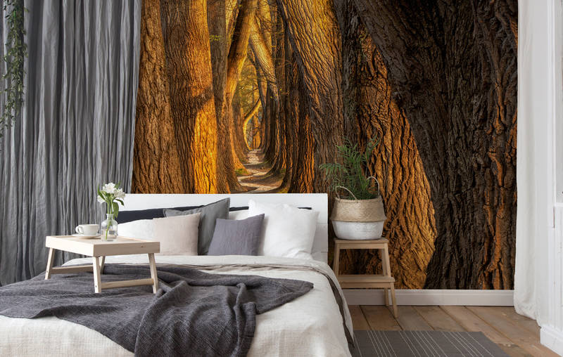 Architects Paper Fotobehang AP Digital 4