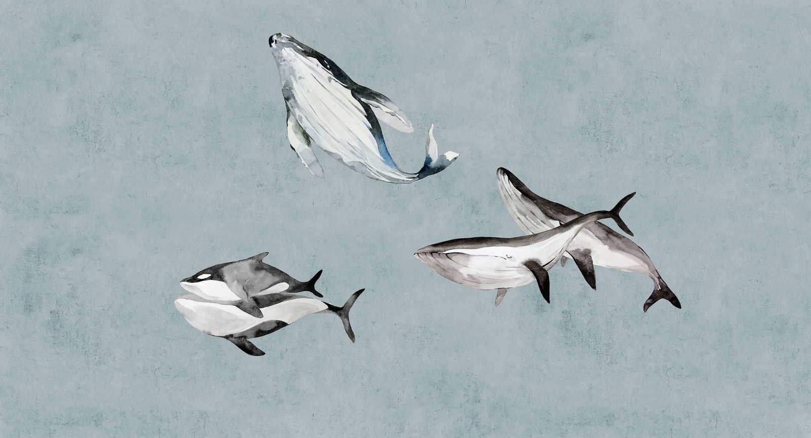 walls by patel Photo wallpaper Walls by Patel 3