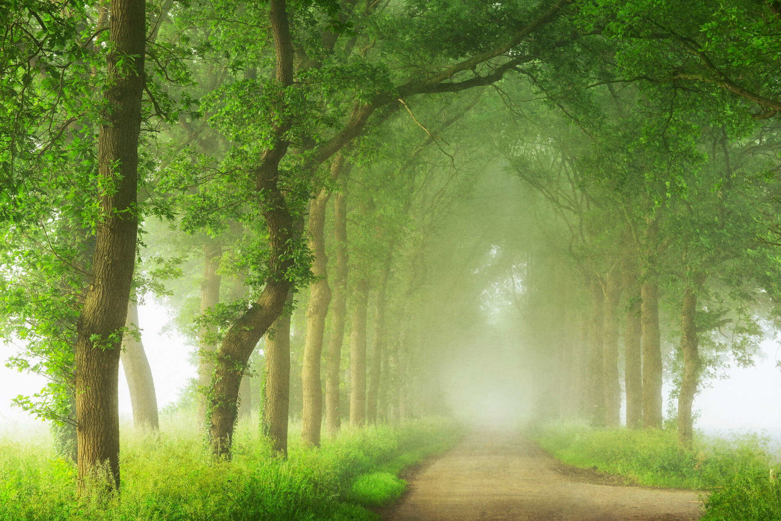 Architects Paper Fototapete AP Digital 4