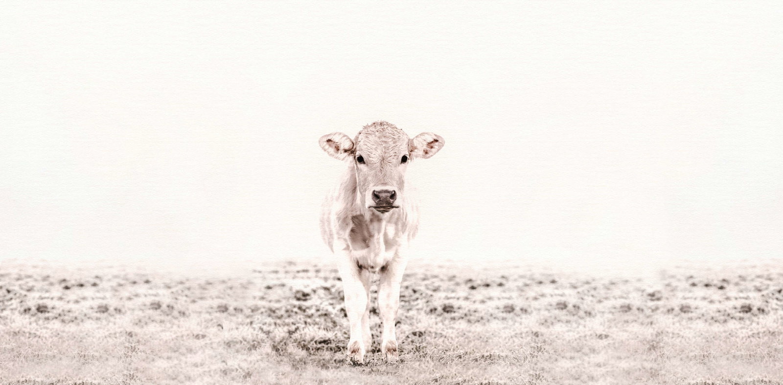 livingwalls Фотообои ARTist