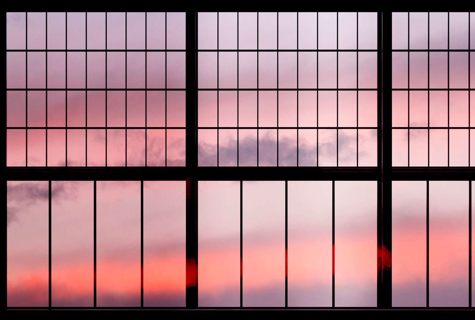 walls by patel Fotobehang Walls by Patel 2