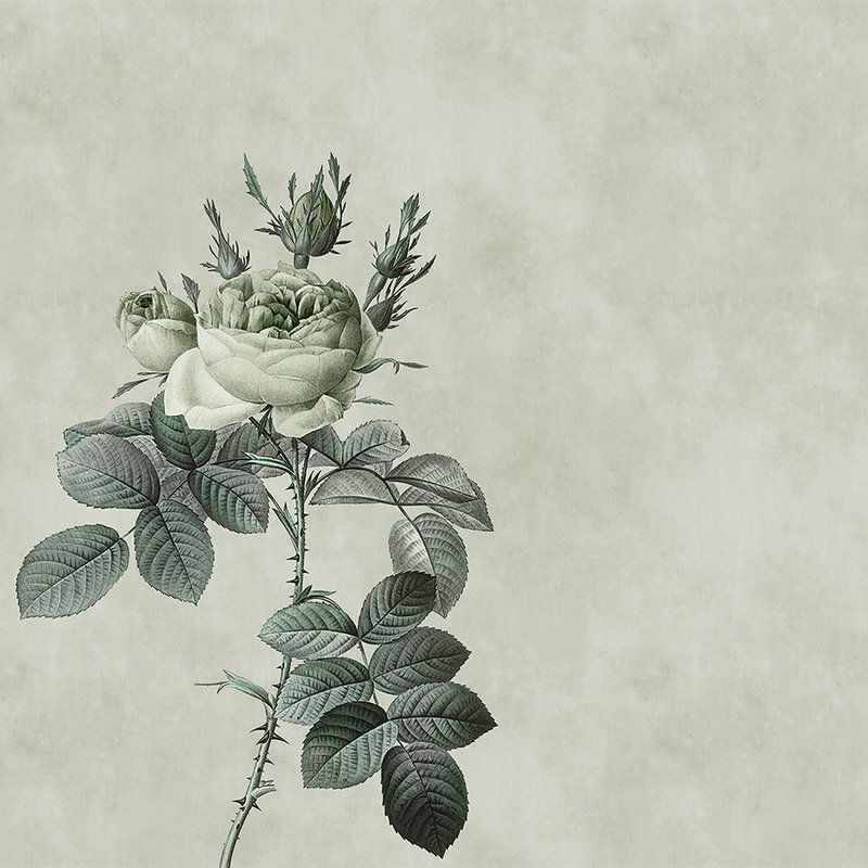 walls by patel Photo wallpaper Walls by Patel