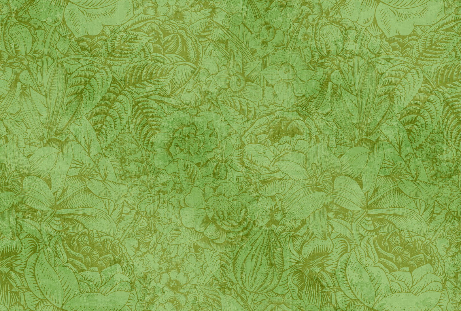 walls by patel Photo wallpaper Walls by Patel walls by patel Photo wallpaper Walls by Patel