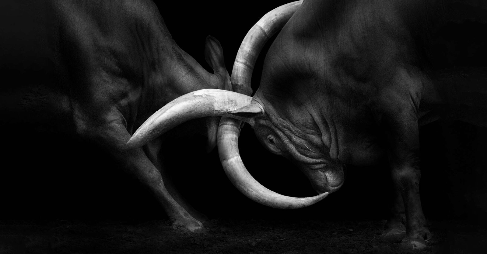 Architects Paper impression numérique AP Digital 2