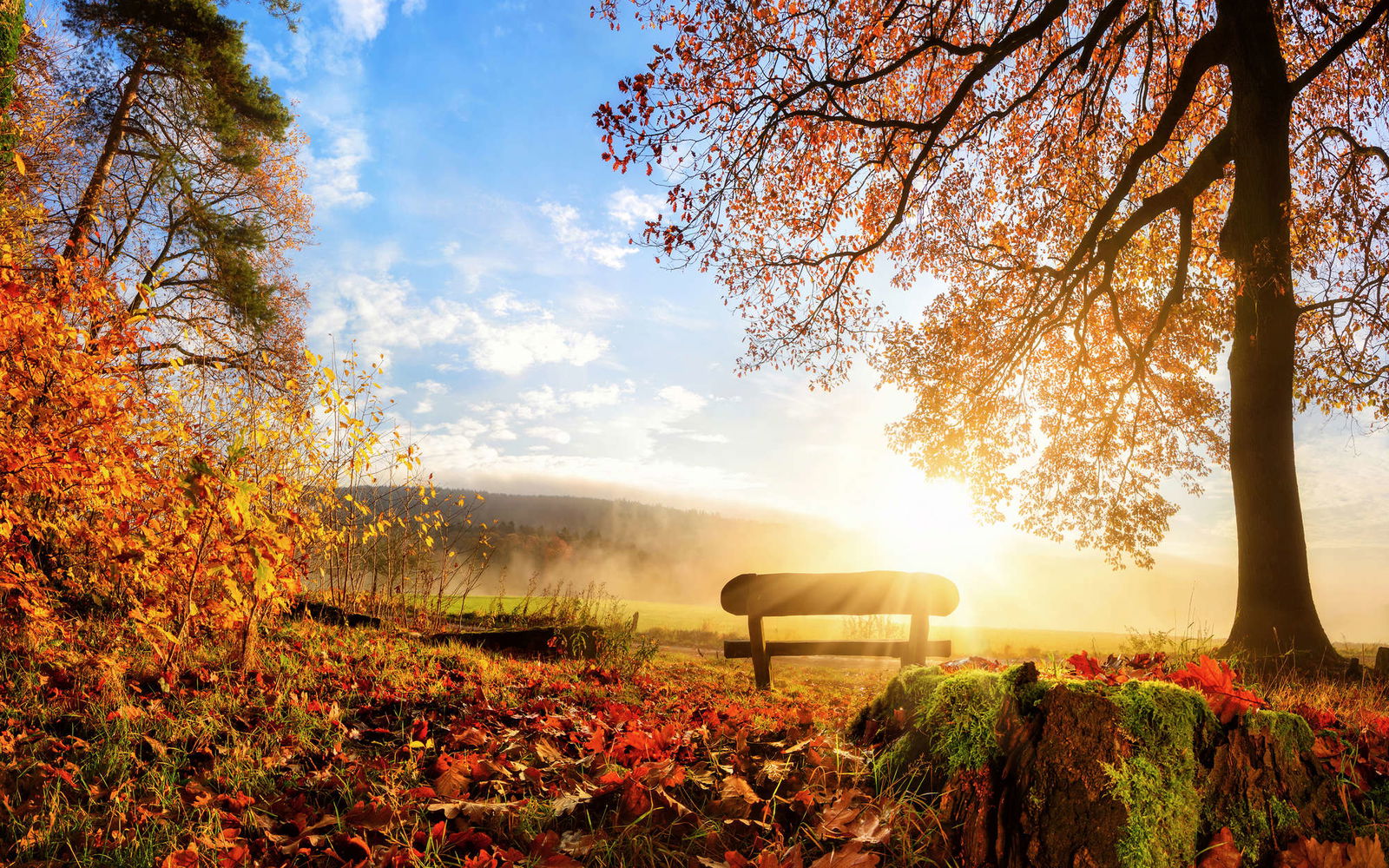 livingwalls Fototapete XXLwallpaper 3