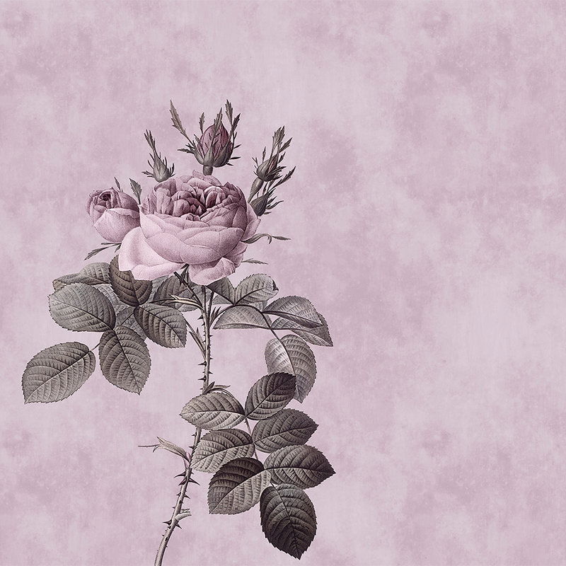 walls by patel Photo wallpaper Walls by Patel