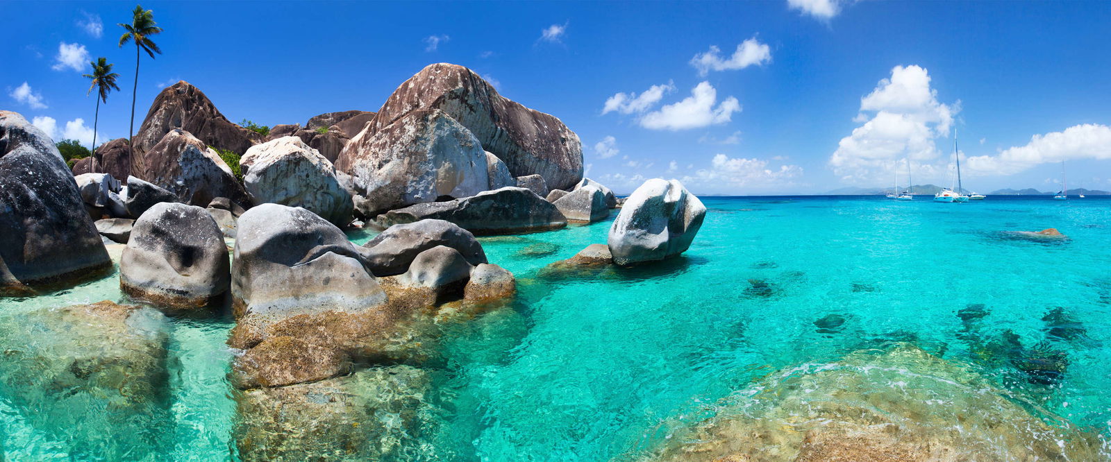 Architects Paper Photo wallpaper AP Digital 3