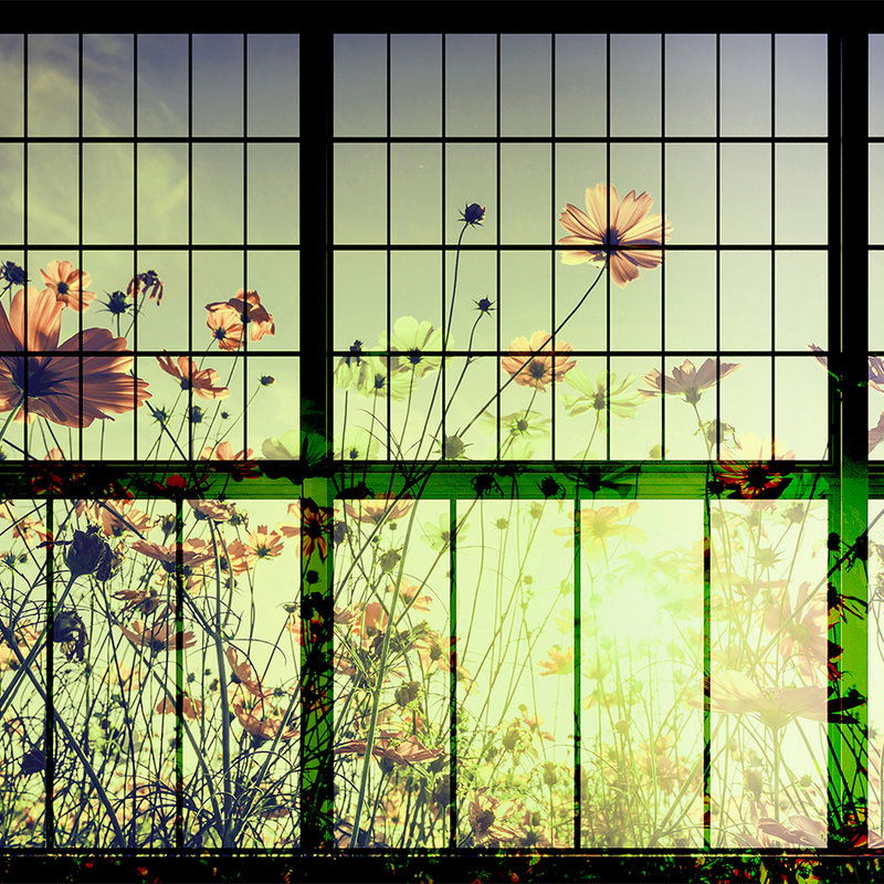 walls by patel Fotobehang Walls by Patel 2