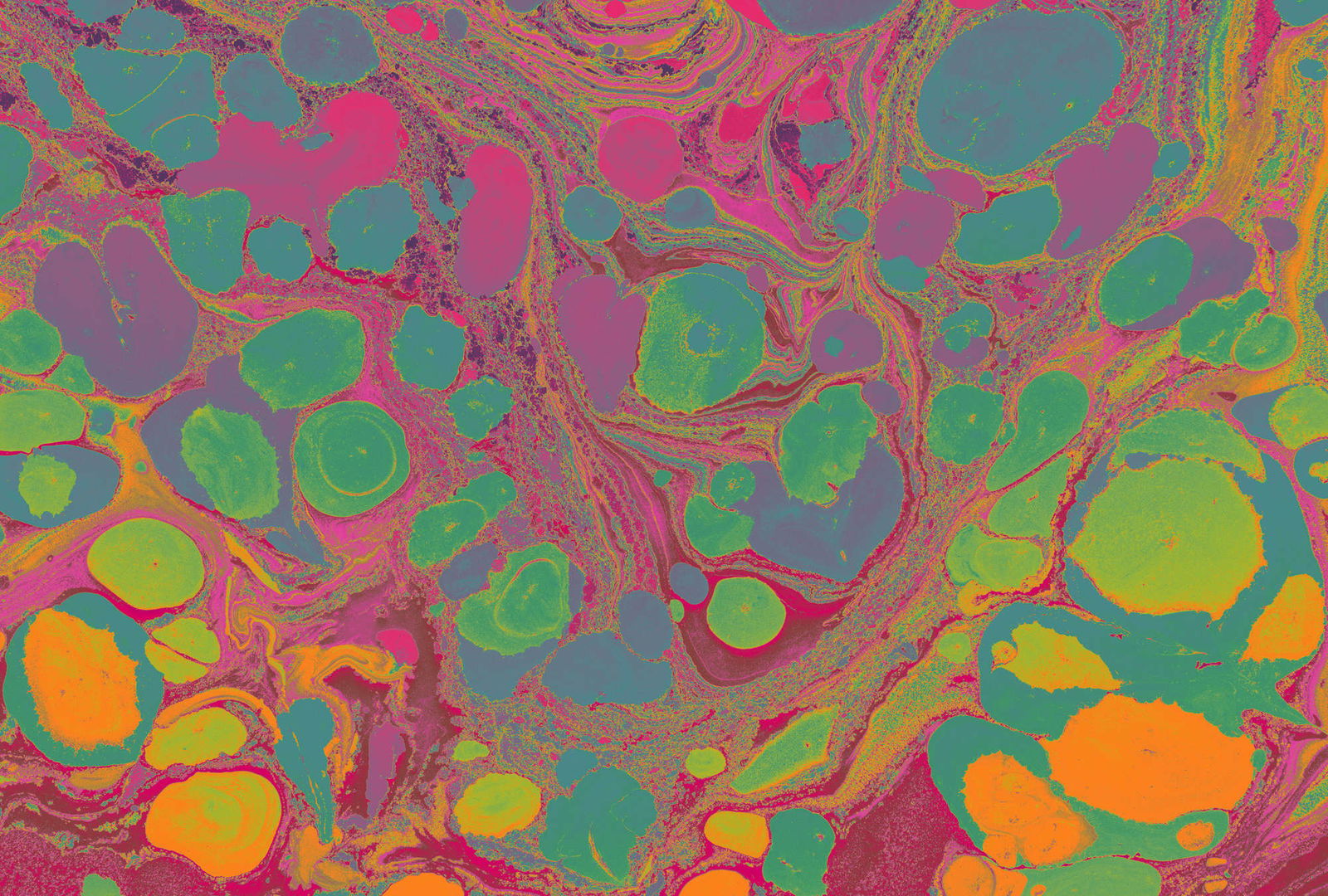 walls by patel Фотообои Walls by Patel 4