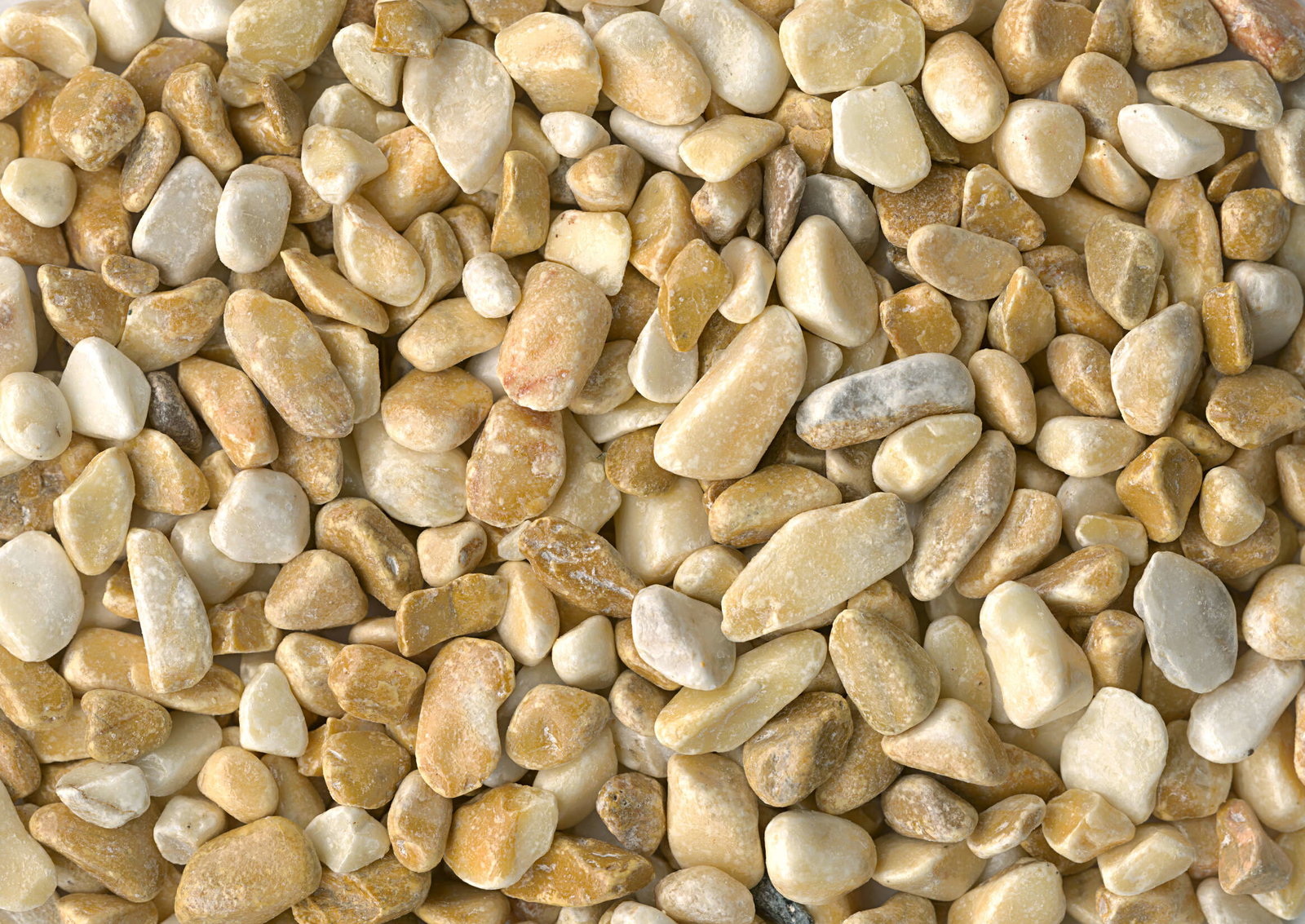 Architects Paper Fototapete AP Digital 4