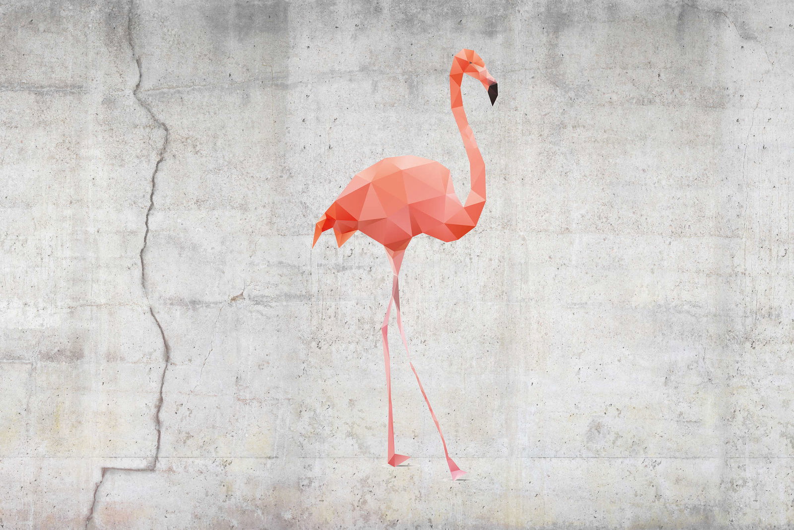 livingwalls Fotobehang XXL unique