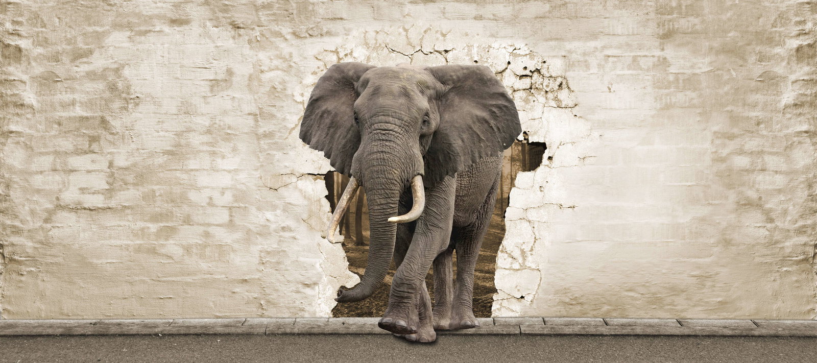 livingwalls Fotobehang XXL unique