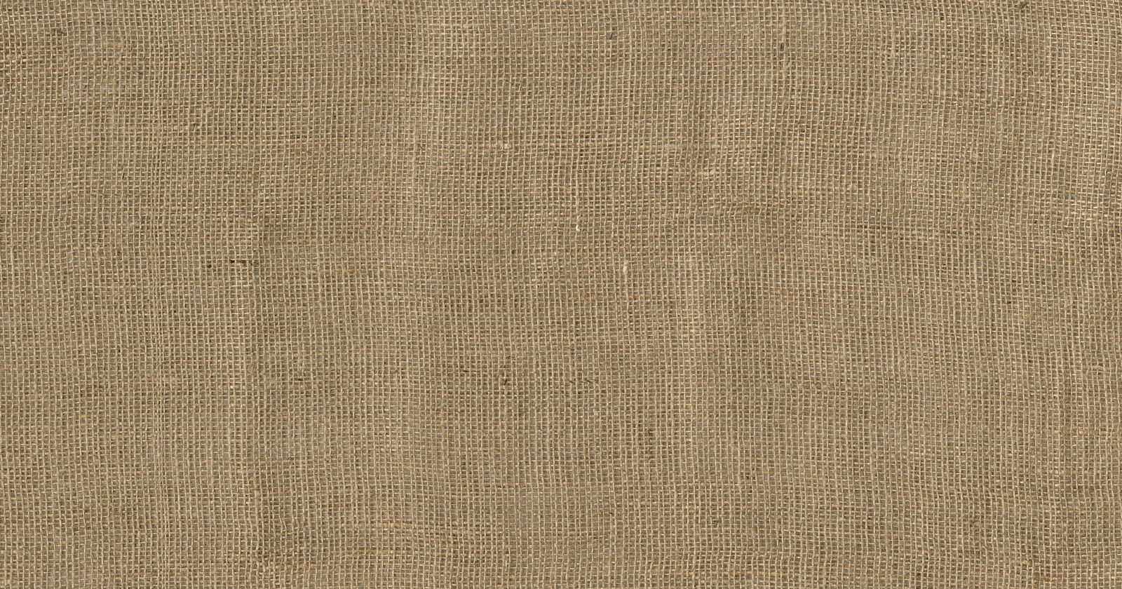 Architects Paper Photo wallpaper AP Digital 4