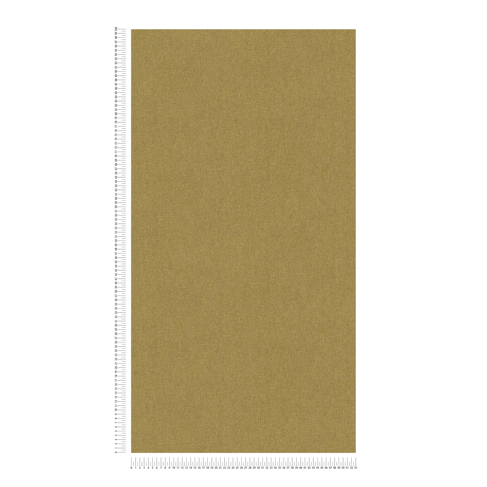 Architects Paper Wallpaper Jungle Chic