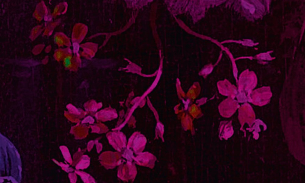 walls by patel impression numérique Walls by Patel