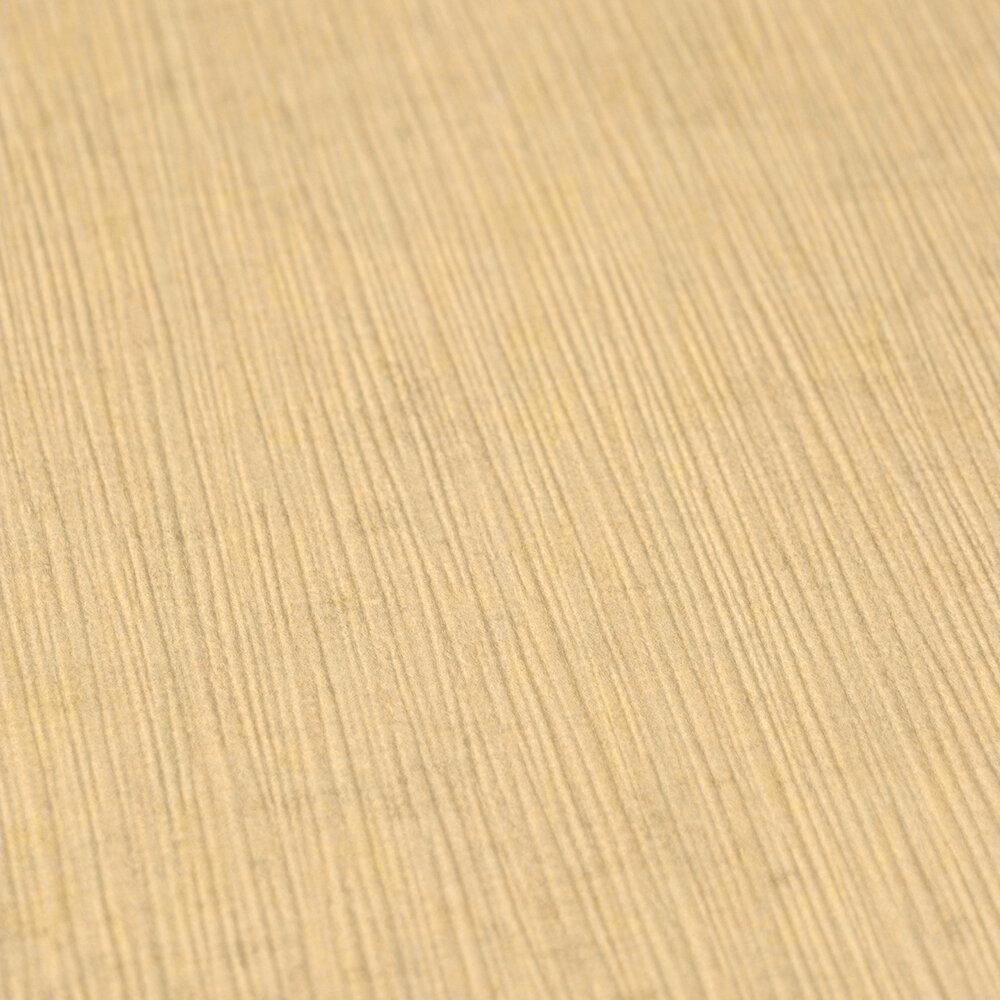A.S. Création papier peint Nordic Feeling