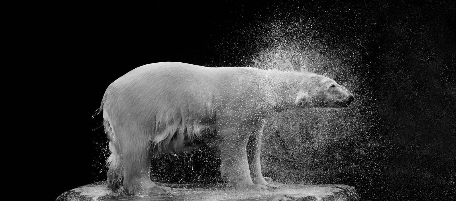 Architects Paper impression numérique AP Digital 2