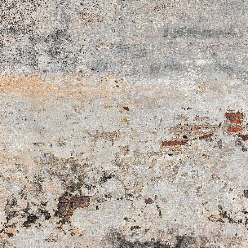 livingwalls Photo wallpaper Designwalls livingwalls Photo wallpaper Designwalls
