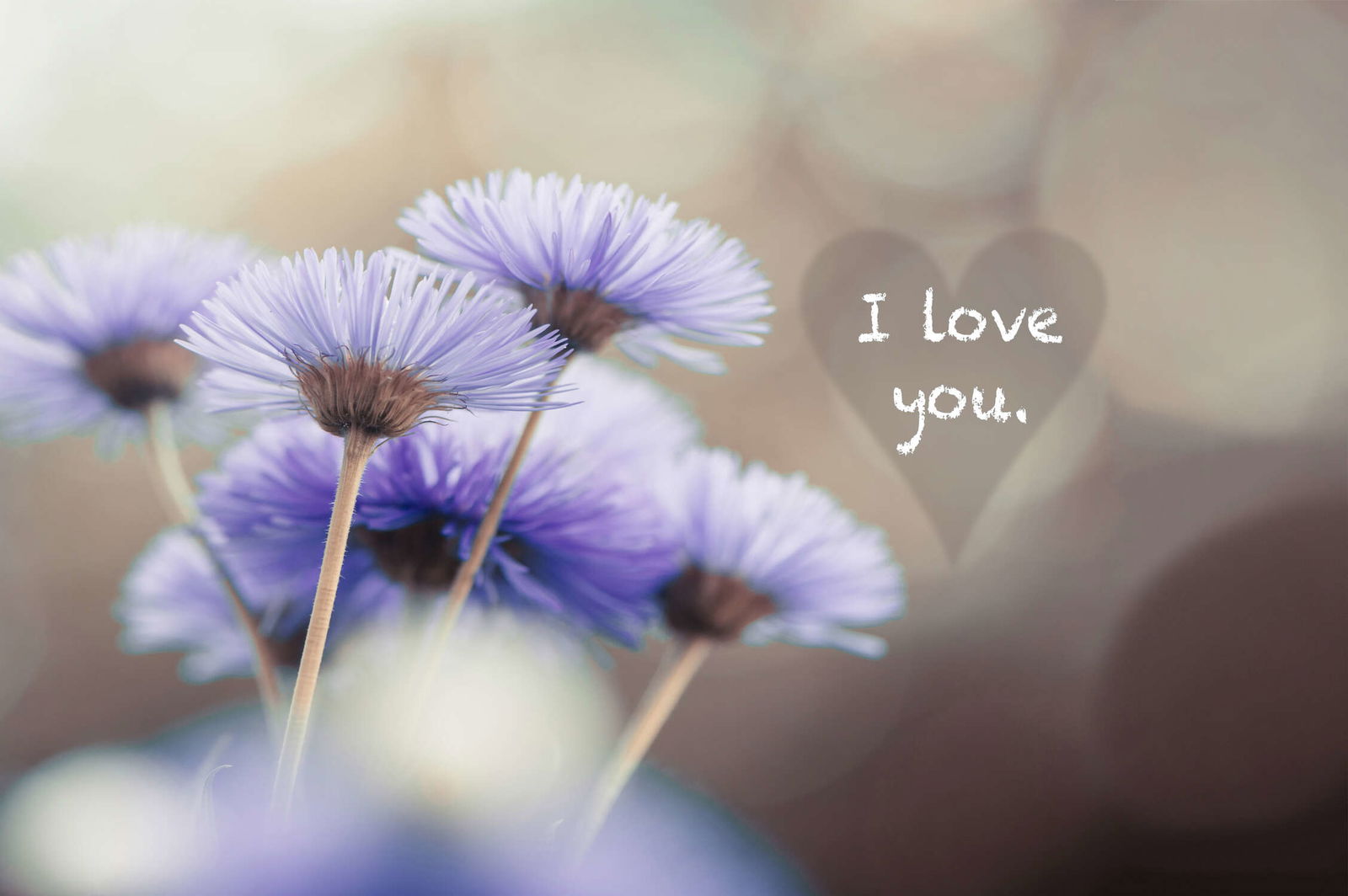 livingwalls impression numérique XXLwallpaper 3