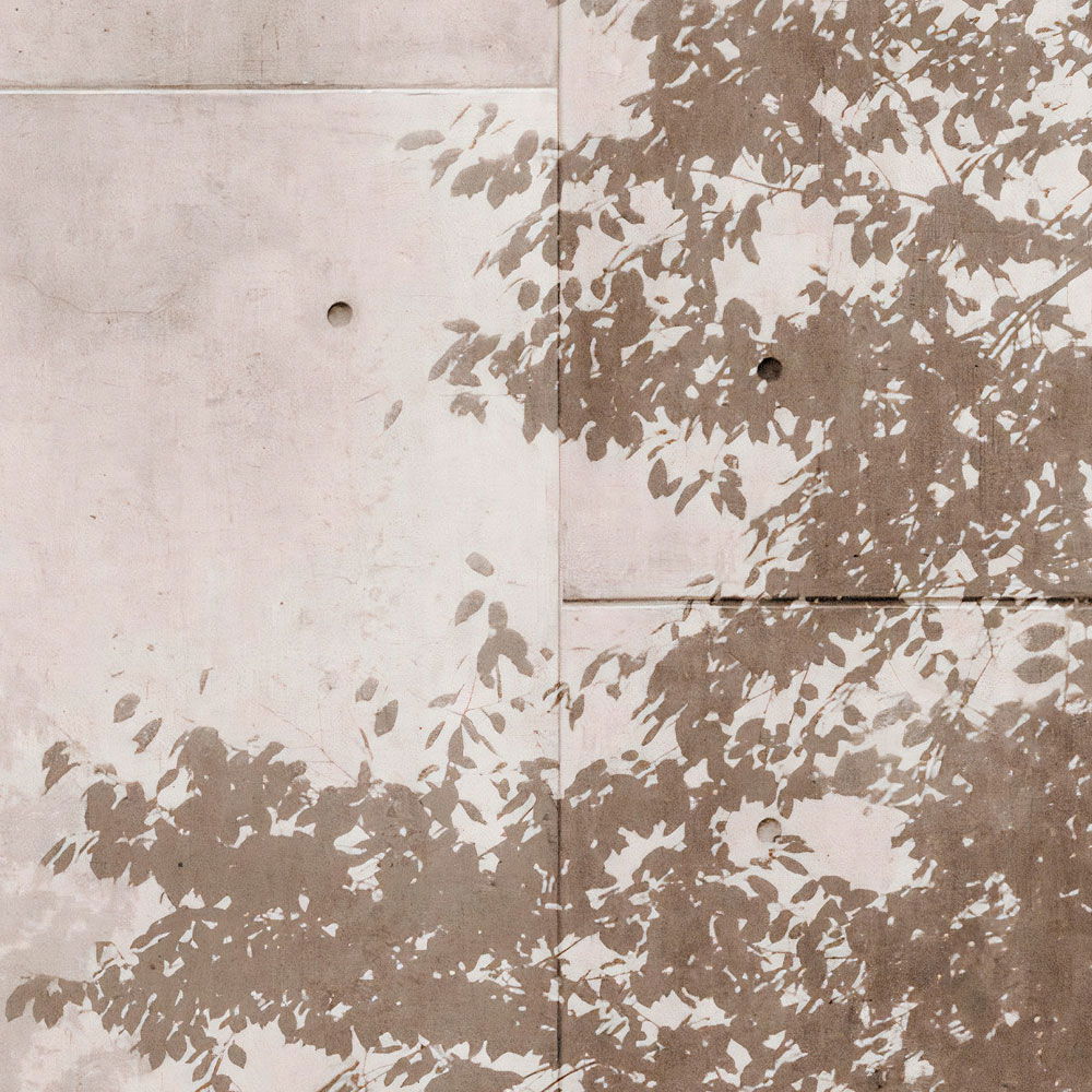 walls by patel Fototapete Walls by Patel 4 walls by patel Fototapete Walls by Patel 4