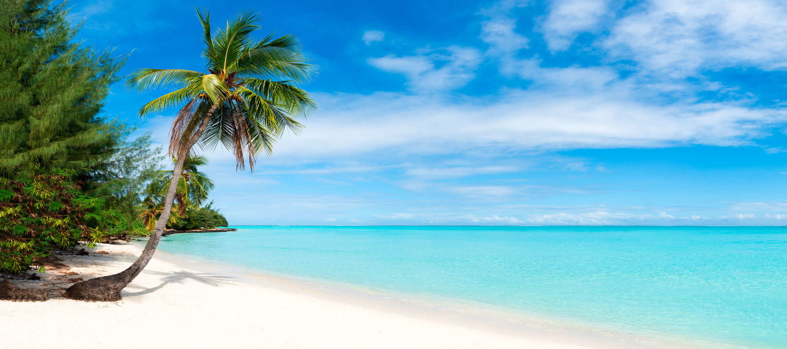 livingwalls impression numérique XXLwallpaper 3