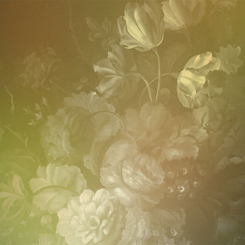 walls by patel Photo wallpaper Walls by Patel 2