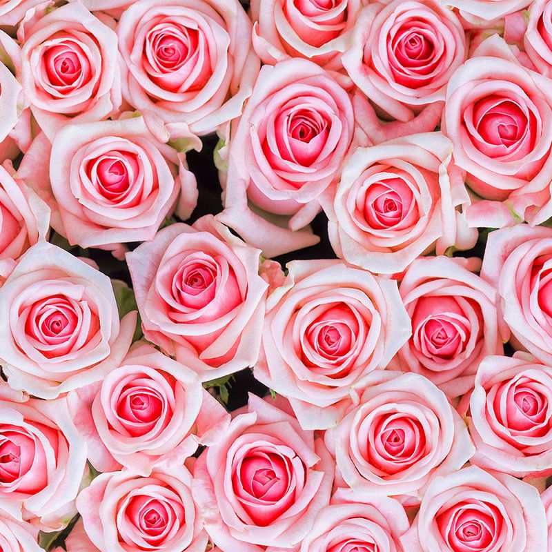 livingwalls impression numérique XXLwallpaper 2