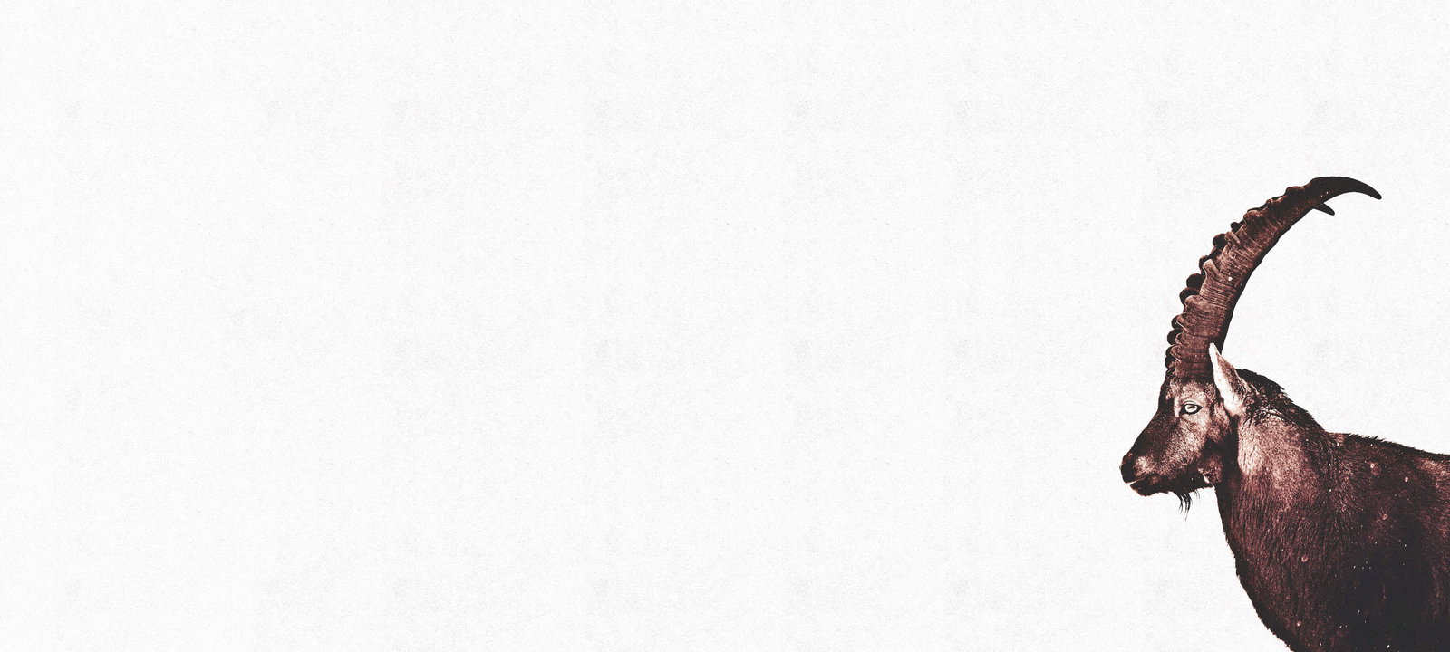 livingwalls Фотообои ARTist