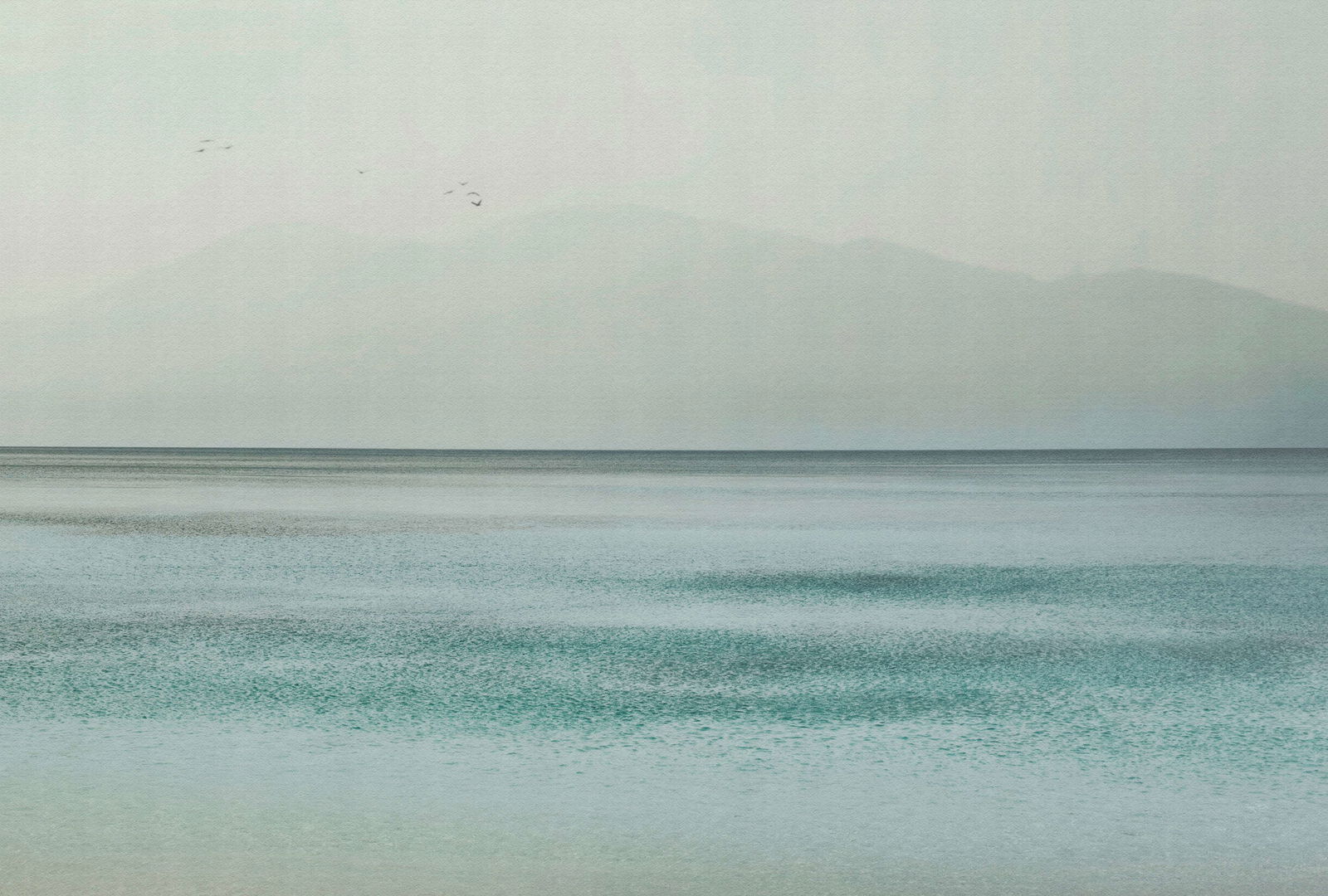 walls by patel Photo wallpaper Walls by Patel 5