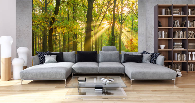 livingwalls Фотообои XXLwallpaper 3
