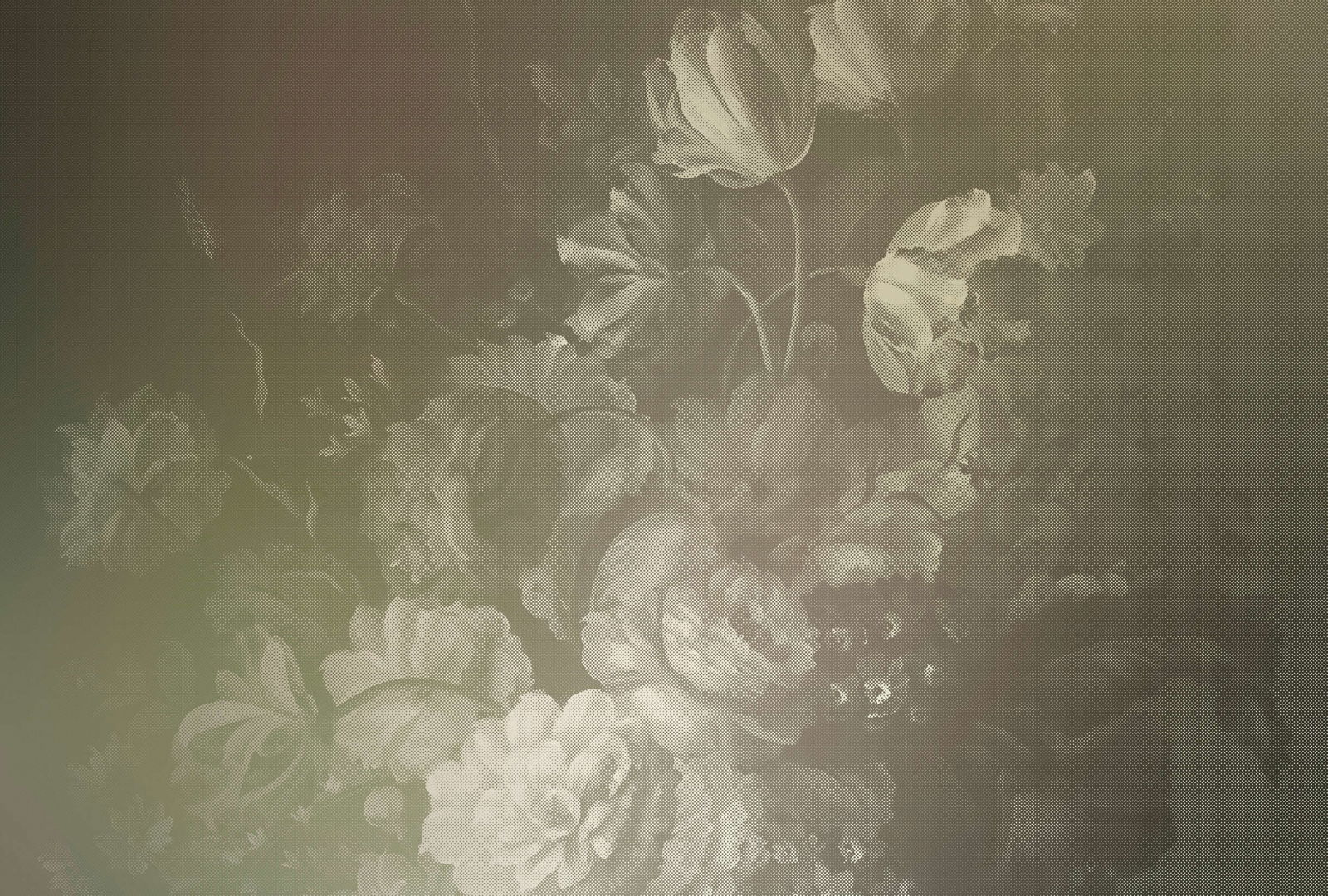 walls by patel Photo wallpaper Walls by Patel 2