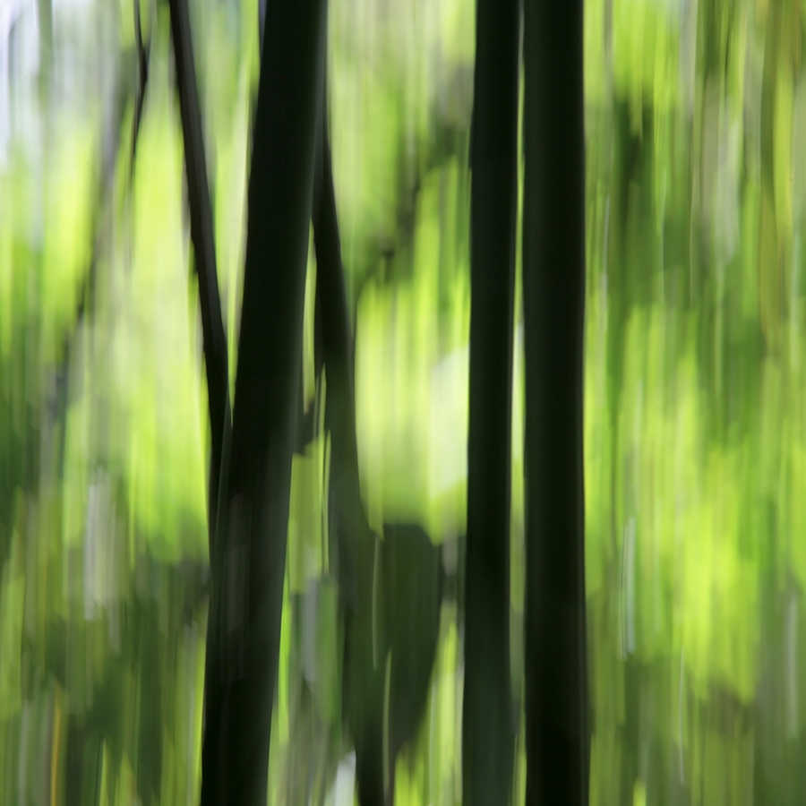 livingwalls Fotobehang Nature