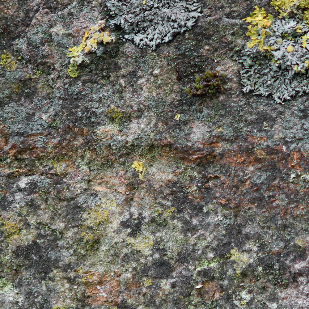 Architects Paper Photo wallpaper AP Digital 4