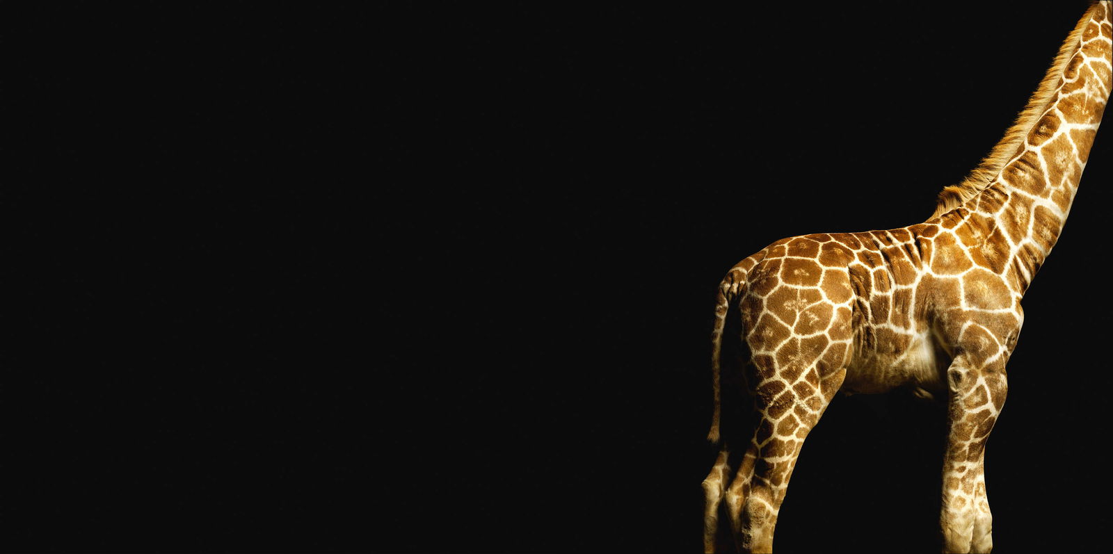 Architects Paper impression numérique AP Digital