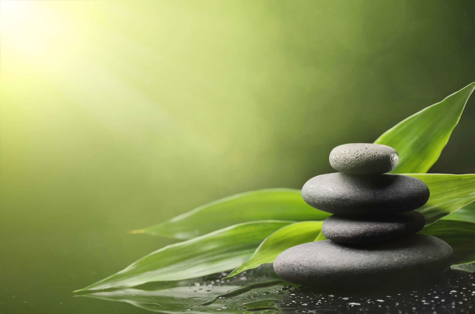 livingwalls impression numérique XXLwallpaper 3