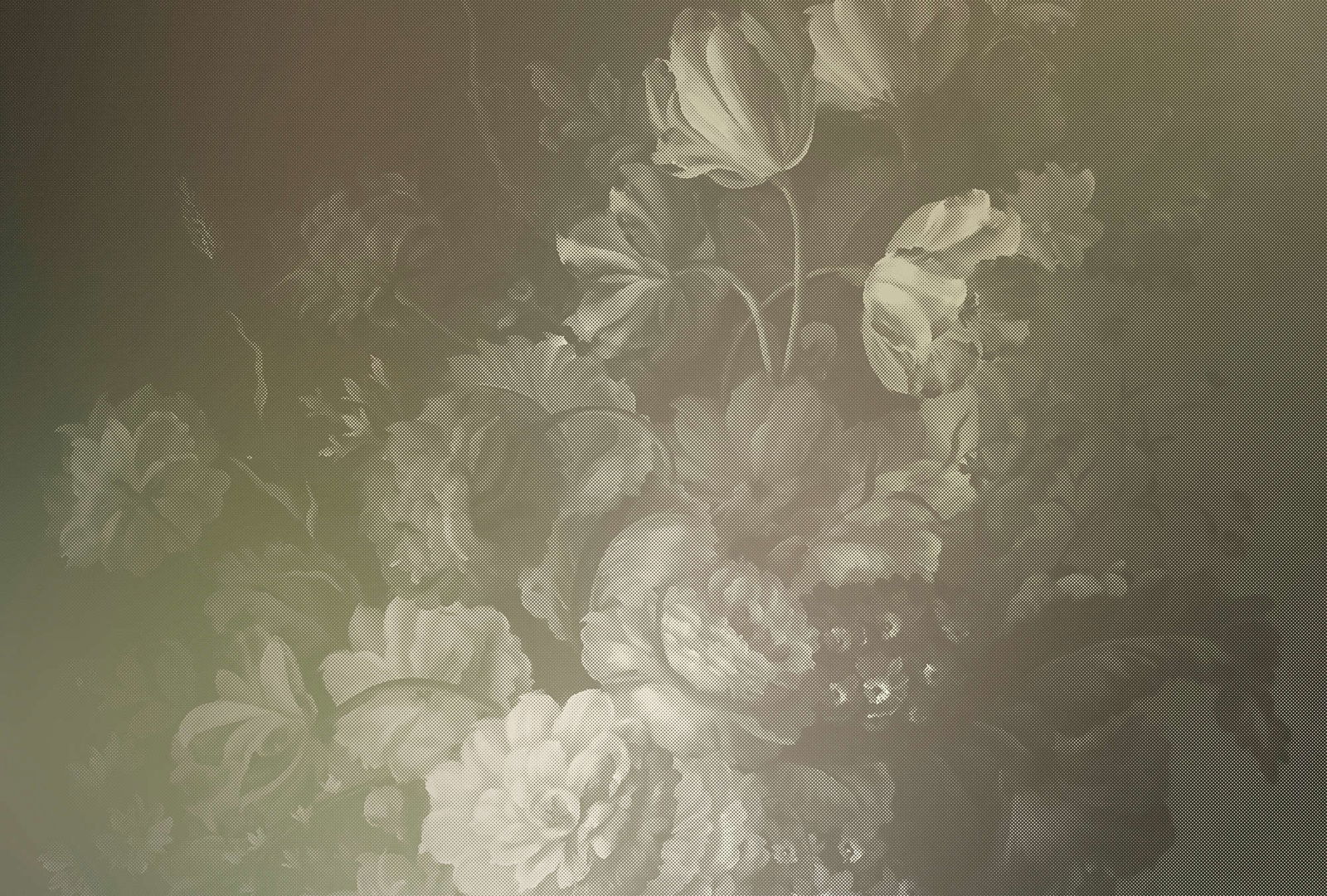 walls by patel Photo wallpaper Walls by Patel 2