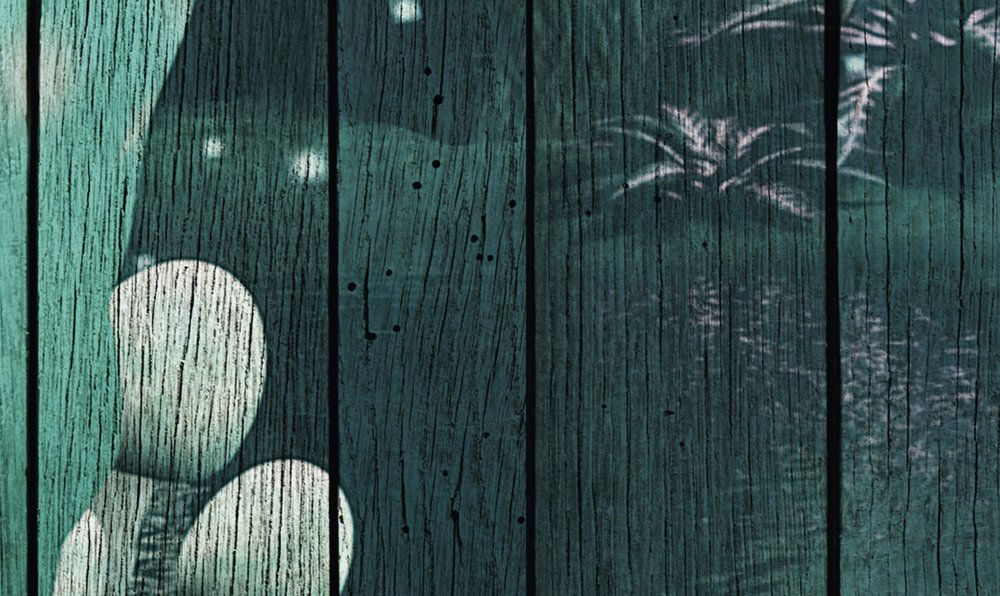 walls by patel Fotobehang Walls by Patel 2
