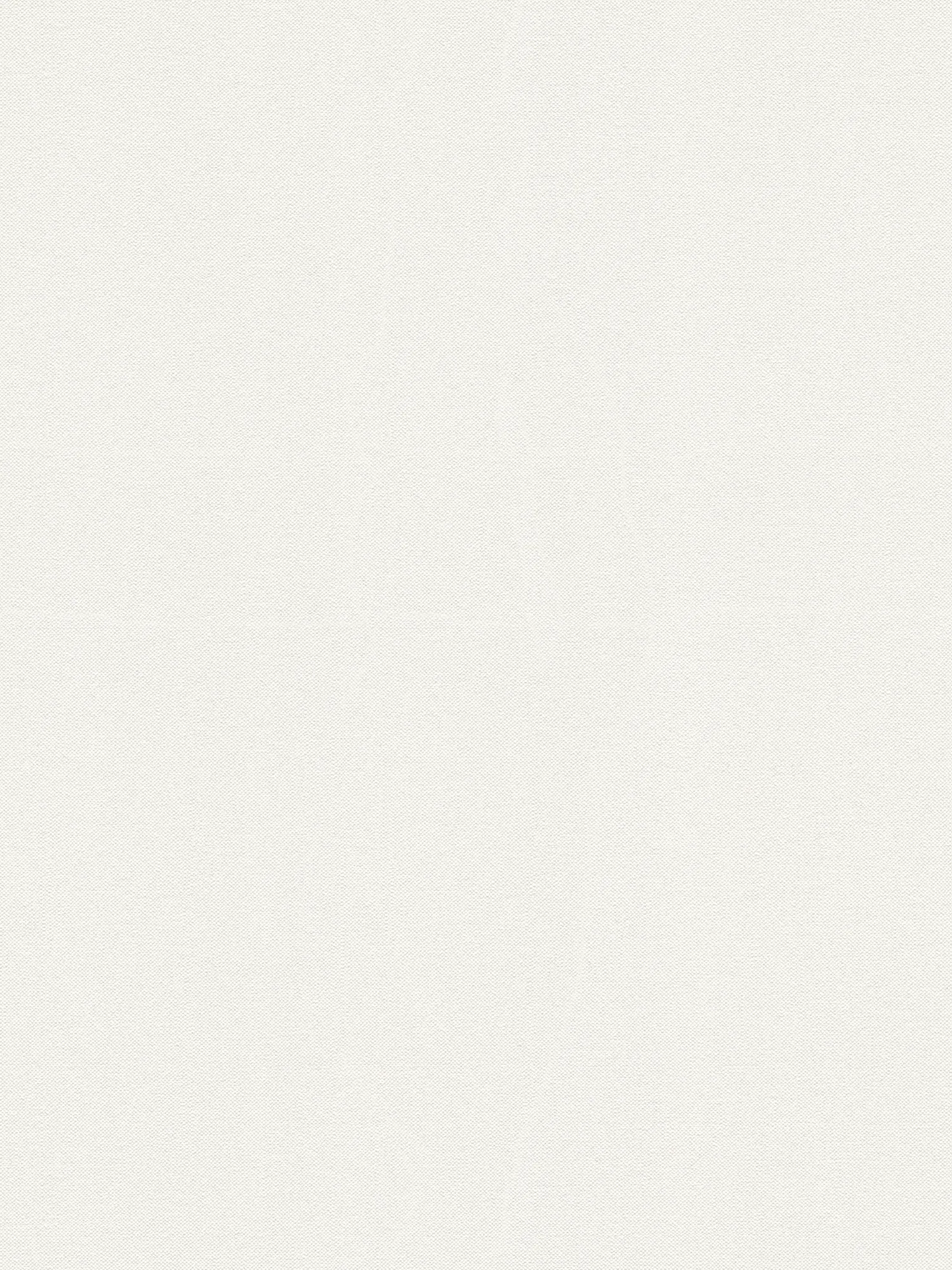 A.S. Création papier peint Designed in White
