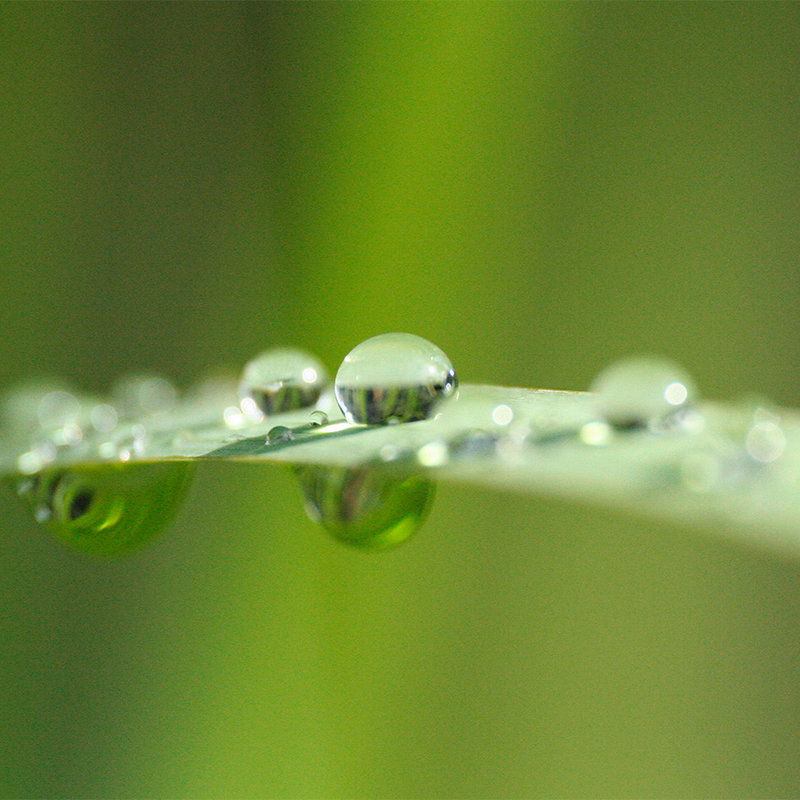 livingwalls Fototapete Nature livingwalls Fototapete Nature