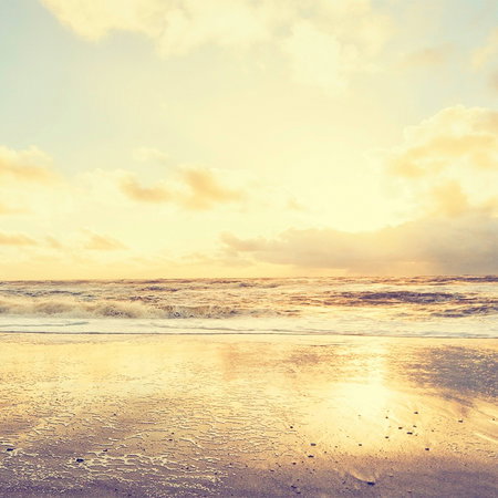 Architects Paper impression numérique AP Digital 2