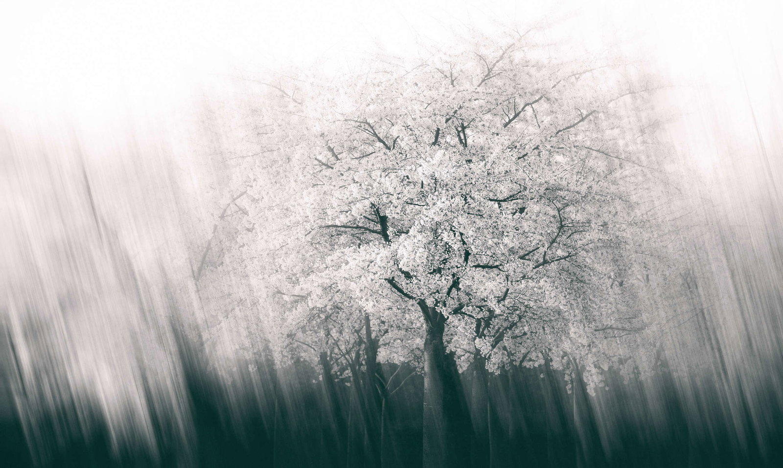 Architects Paper Fototapete AP Digital 4