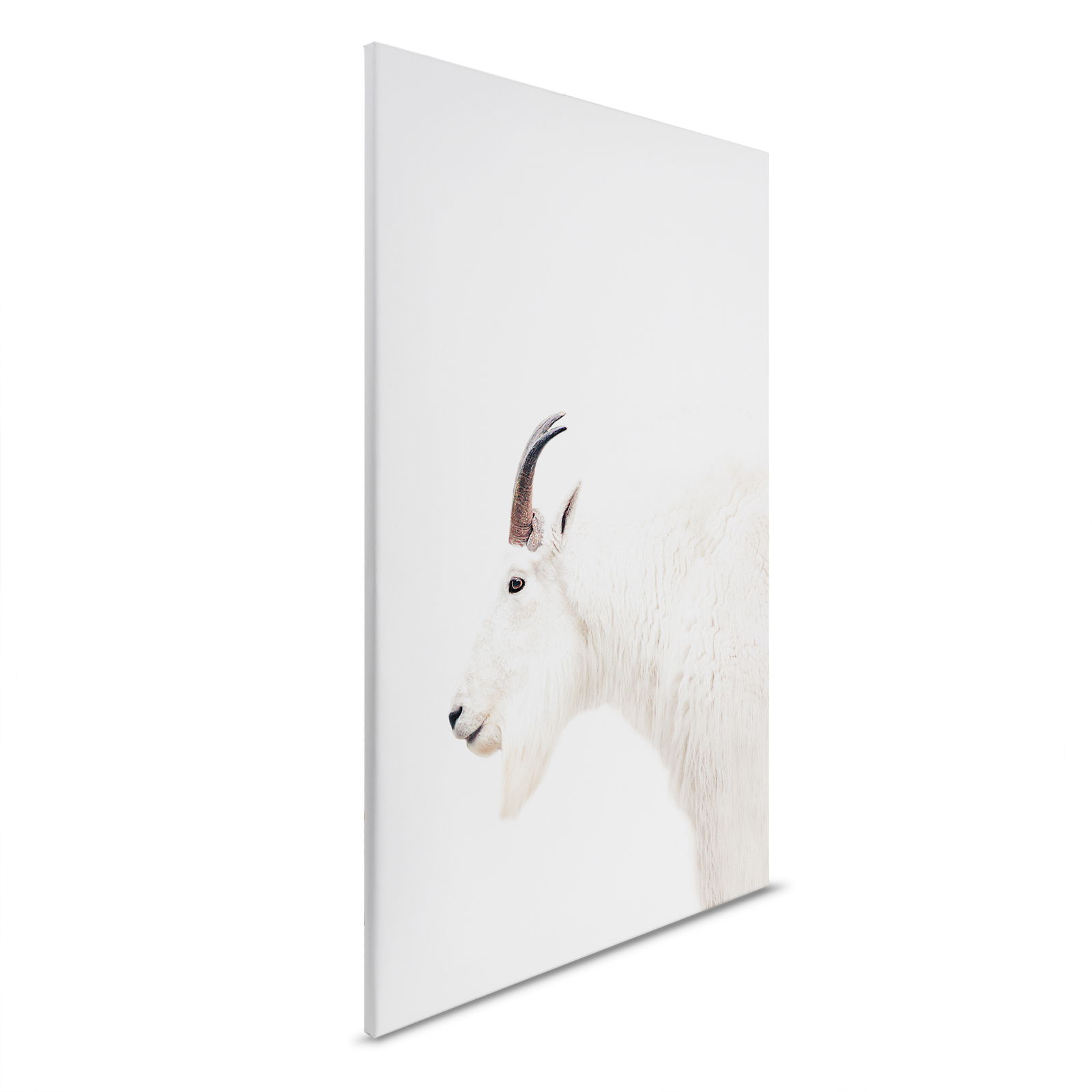 livingwalls tableau sur toile ARTist